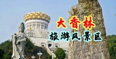 骚逼老师的骚逼视频中国浙江-绍兴大香林旅游风景区